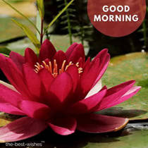 Good Morning Sweet